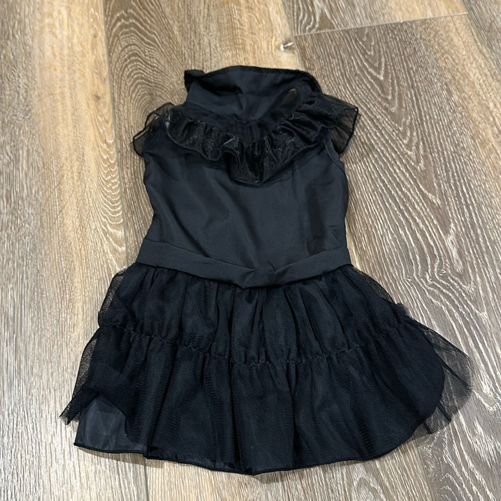 Wednesday Adam’s Dog/Cat dress